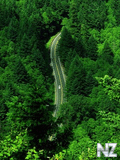 Voledar_nature_44887.jpg