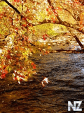 Voledar_nature_569321.jpg