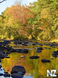 Voledar_nature_632146.jpg