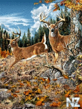 Voledar_nature_69874.jpg