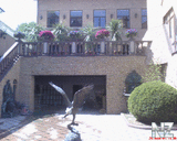 DSC00009.jpg