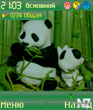 extskin_panda_os9.zip