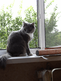 P1010044.jpg