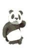 Панда.png