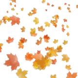 post_41681_12224095011_.jpg