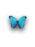 3d_Butterfly.jpg