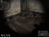ss_Gufi_10_25_09_13_26_45__zaton_.jpg