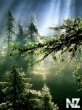 Voledar_Nature_4115.jpg