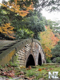 Voledar_Nature_osenp_30572.jpg