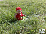 foto188.jpg
