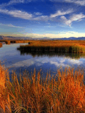 Voledar_Nature_527709.jpg