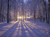 winter_wall042.jpg