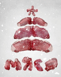 Cristmas.jpg
