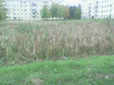 Image_0104_.jpg