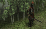 Samura_Bamboo.jpg
