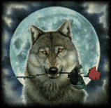wolf1.jpg