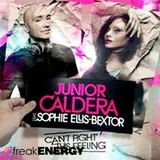 Junior Caldera Feat.Ellis Bextor - Can`t Fight This Feeling 2010