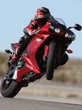 Yamaha_R1.jpg