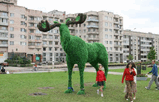figura.jpg