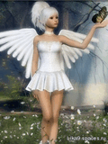 Angel.jpg