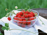 wallpapers_food_Cherry_464797.jpg