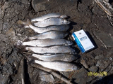 100_3452555.jpg