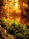 Voledar_Nature_432710.jpg