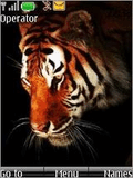 Tiger_3.nth