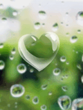 Heart_3.jpg