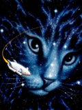 Star_Cat.jpg