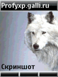 Polar_Fox_profyxp.nth