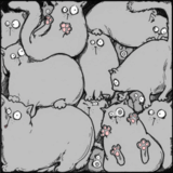cats.gif