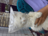 18052010074.jpg