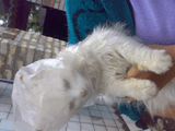 18052010075.jpg