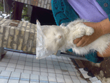 18052010076.jpg
