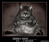 275245_post_2.jpg
