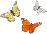 butterfly_yellow_27600.png