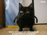photo.jpg
