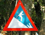 photo.jpg