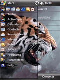 Tiger_pr_tod.jpg