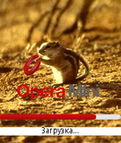 SplashSquirrel-OperaForOperaMini(176x208).zip