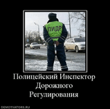 468834.jpg