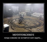i_245.gif