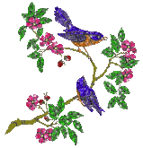 22611174_1208062292_ptichki.gif