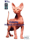 Jilette.jpg