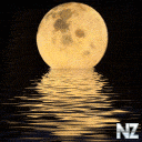 948178310.gif