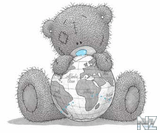 teddy171.jpg
