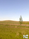_0990.jpg
