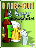 fun_006.jpg