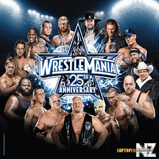1239010178_wrestlemania25.jpg